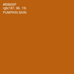 #BB600F - Pumpkin Skin Color Image