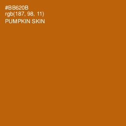 #BB620B - Pumpkin Skin Color Image