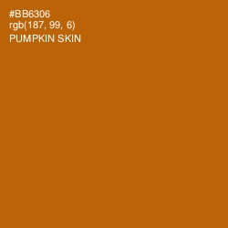 #BB6306 - Pumpkin Skin Color Image