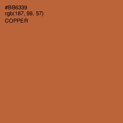 #BB6339 - Copper Color Image