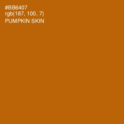 #BB6407 - Pumpkin Skin Color Image