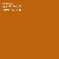 #BB640D - Pumpkin Skin Color Image
