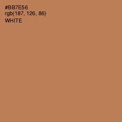 #BB7E56 - Santa Fe Color Image