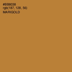 #BB8038 - Marigold Color Image