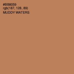#BB8059 - Muddy Waters Color Image