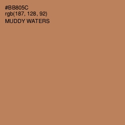 #BB805C - Muddy Waters Color Image