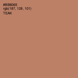 #BB8065 - Teak Color Image