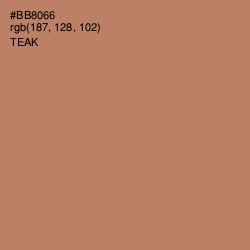 #BB8066 - Teak Color Image