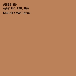 #BB8159 - Muddy Waters Color Image