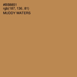 #BB8851 - Muddy Waters Color Image