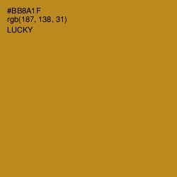 #BB8A1F - Lucky Color Image