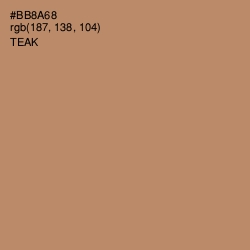 #BB8A68 - Teak Color Image