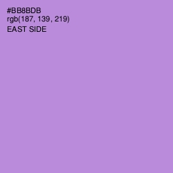 #BB8BDB - East Side Color Image