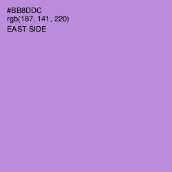 #BB8DDC - East Side Color Image