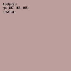 #BB9E9B - Thatch Color Image