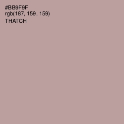 #BB9F9F - Thatch Color Image