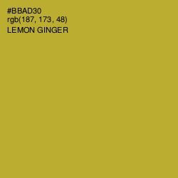 #BBAD30 - Lemon Ginger Color Image