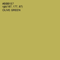 #BBB157 - Olive Green Color Image