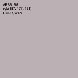 #BBB1B5 - Pink Swan Color Image