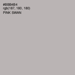 #BBB4B4 - Pink Swan Color Image