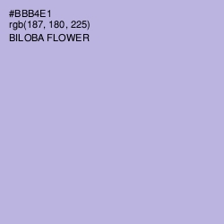 #BBB4E1 - Biloba Flower Color Image