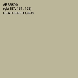 #BBB599 - Heathered Gray Color Image