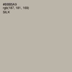 #BBB5A9 - Silk Color Image