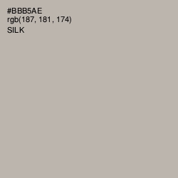 #BBB5AE - Silk Color Image