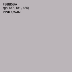 #BBB5BA - Pink Swan Color Image