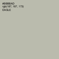 #BBBBAD - Eagle Color Image