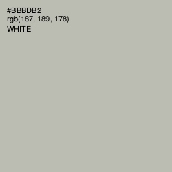 #BBBDB2 - Tide Color Image