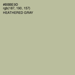 #BBBE9D - Heathered Gray Color Image