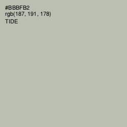 #BBBFB2 - Tide Color Image