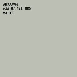 #BBBFB4 - Tide Color Image