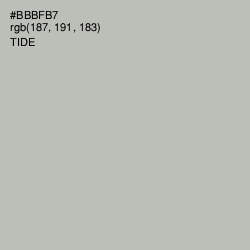 #BBBFB7 - Tide Color Image