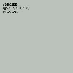 #BBC2BB - Clay Ash Color Image