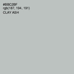 #BBC2BF - Clay Ash Color Image