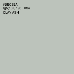 #BBC3BA - Clay Ash Color Image