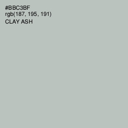 #BBC3BF - Clay Ash Color Image