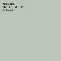 #BBC6B8 - Clay Ash Color Image