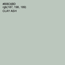 #BBC6BD - Clay Ash Color Image