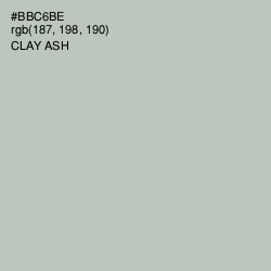 #BBC6BE - Clay Ash Color Image