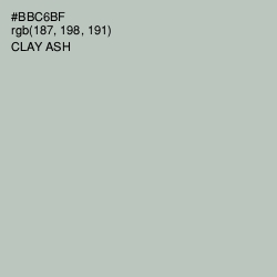 #BBC6BF - Clay Ash Color Image