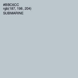 #BBC6CC - Submarine Color Image