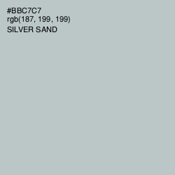 #BBC7C7 - Silver Sand Color Image