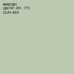 #BBC9B1 - Clay Ash Color Image