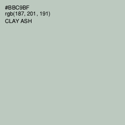 #BBC9BF - Clay Ash Color Image