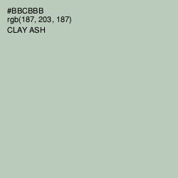 #BBCBBB - Clay Ash Color Image