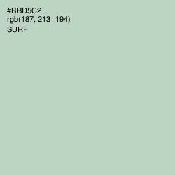#BBD5C2 - Surf Color Image