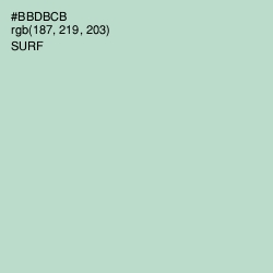 #BBDBCB - Surf Color Image